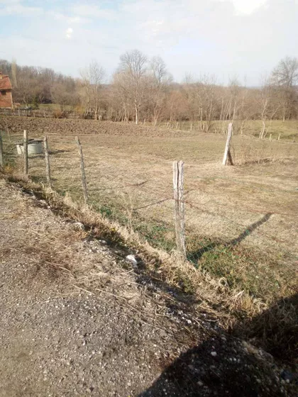 Dragiše Sarića | 4zida.rs