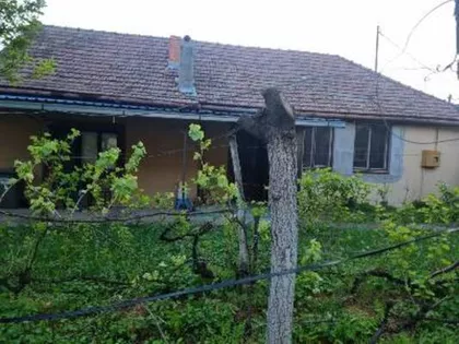 Opština Žitište, Srpski Itebej | 4zida.rs