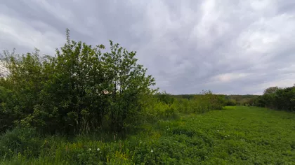 Klenak | 4zida.rs