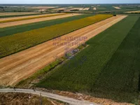 Gornje Livade, Gradske lokacije, Novi Sad | 4zida.rs