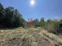 Kosmaj, Mladenovac opština, Beograd | 4zida.rs
