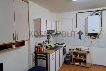 Dragoslava Srejovića | 4zida.rs