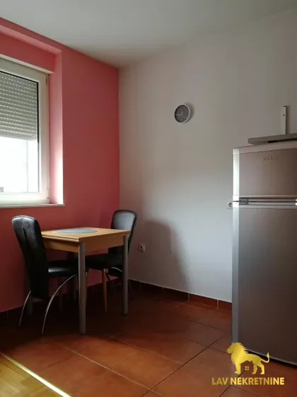 VESELINA MASLEŠE | 4zida.rs