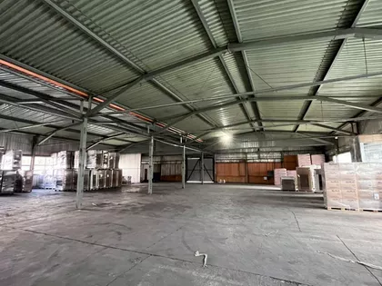 Ive Lole Ribara bb | 4zida.rs