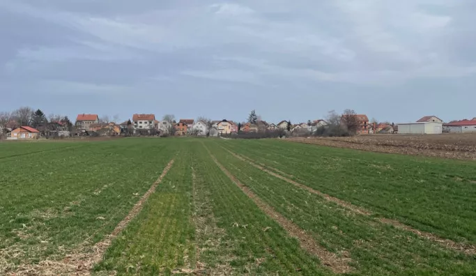 Plac | 4zida