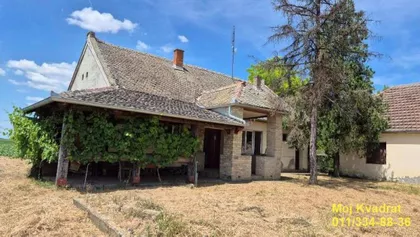 Koste Nađa | 4zida.rs