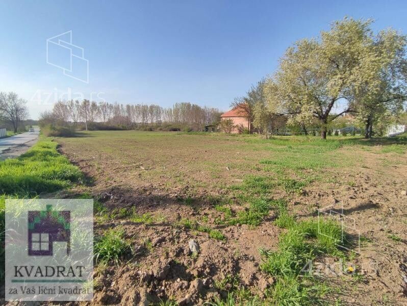 Zvečka - Prikaz 4