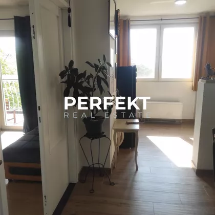 Nemanjina | 4zida.rs