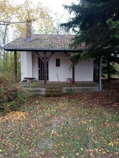 Čortanovci