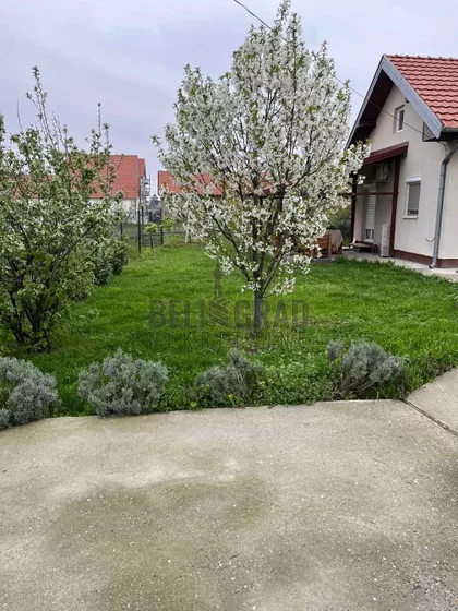 Buljubaše Ranka Uroševića | 4zida.rs