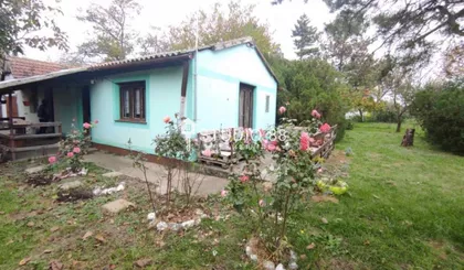 Melenci | 4zida.rs