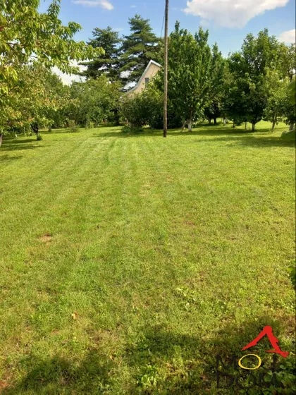 Čortanovci | 4zida.rs