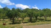Poljoprivredno zemljište | 4zida