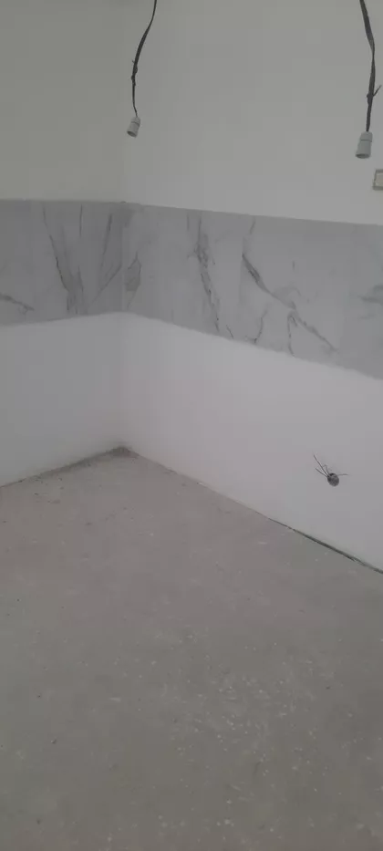 Kralja Petra I Karađorđevića | 4zida.rs