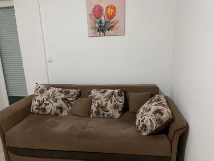 Dr Tihomira Ostojića | 4zida.rs