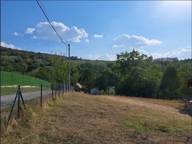 Janka Katića