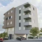 Niš, Gradske lokacije, Palilula | 4zida.rs | 4zida.rs