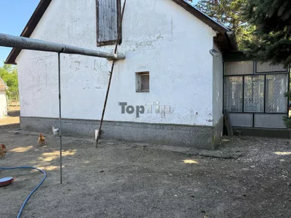 Srpski Šor | 4zida.rs