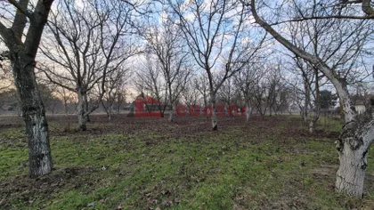 Palić | 4zida.rs