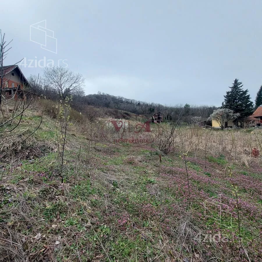 Plac | 4zida