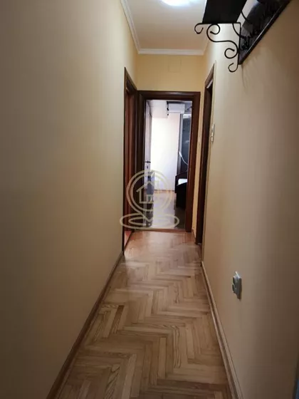 Novi Sad - Centar | 4zida.rs