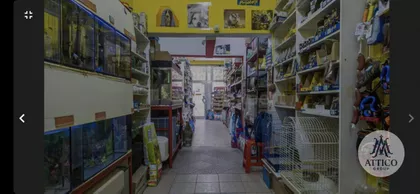 Detelinara | 4zida.rs