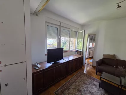 Marijane Gregoran | 4zida.rs