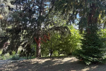 Vrdnik, Ugore | 4zida.rs