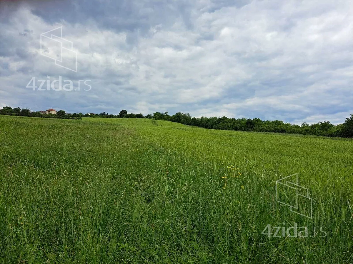Plac | 4zida