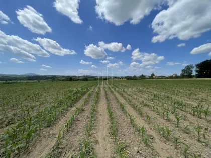 Velika Ivanča | 4zida.rs