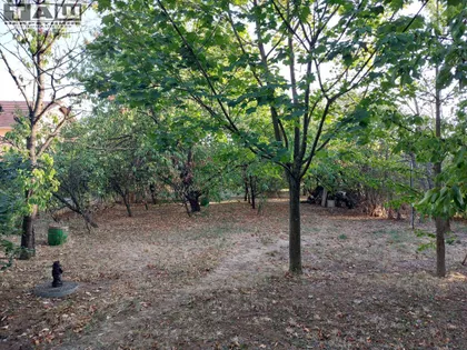 Šumarice | 4zida.rs