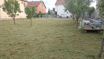 Stanovo | 4zida.rs