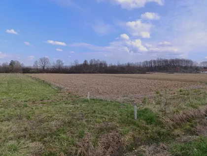 Ravnogajska | 4zida.rs