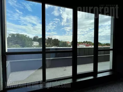 DEDINJE BELI DVOR | 4zida.rs