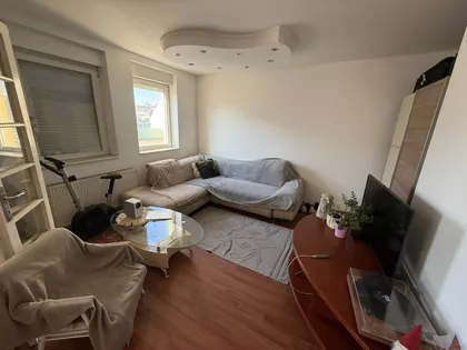 Rotkvarija | 4zida.rs