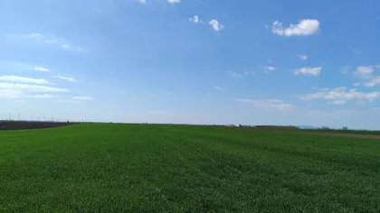 Stari Banovci | 4zida.rs