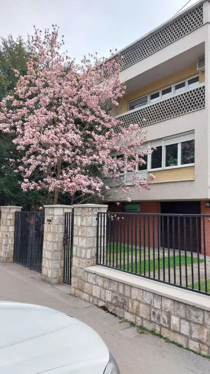 Novi Sad - Centar | 4zida.rs