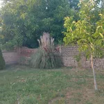 Plac | 4zida