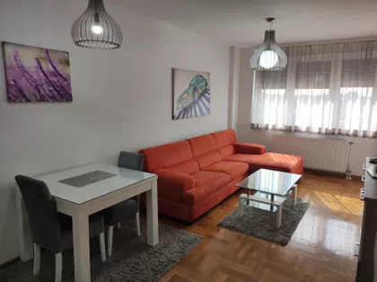 Braće Ribnikar | 4zida.rs