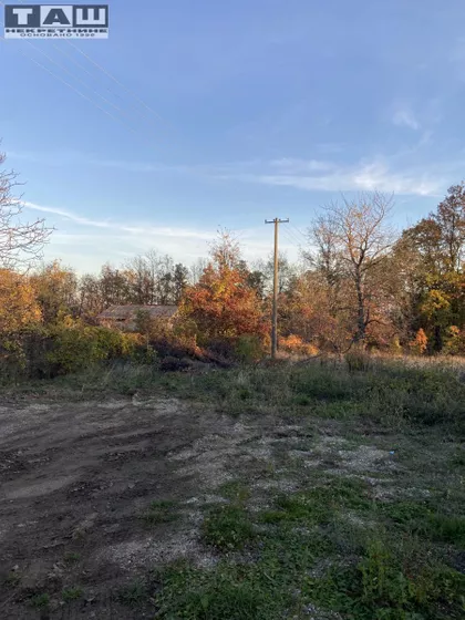 Donje Grbice | 4zida.rs