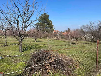 Zanoš | 4zida.rs