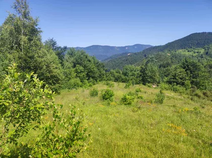 Zaovinsko jezero | 4zida.rs