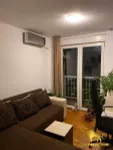 Nova Detelinara, Detelinara, Gradske lokacije, Novi Sad | 4zida.rs | 4zida.rs