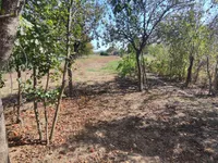 Kupusara, Gradske lokacije, Jagodina | 4zida.rs