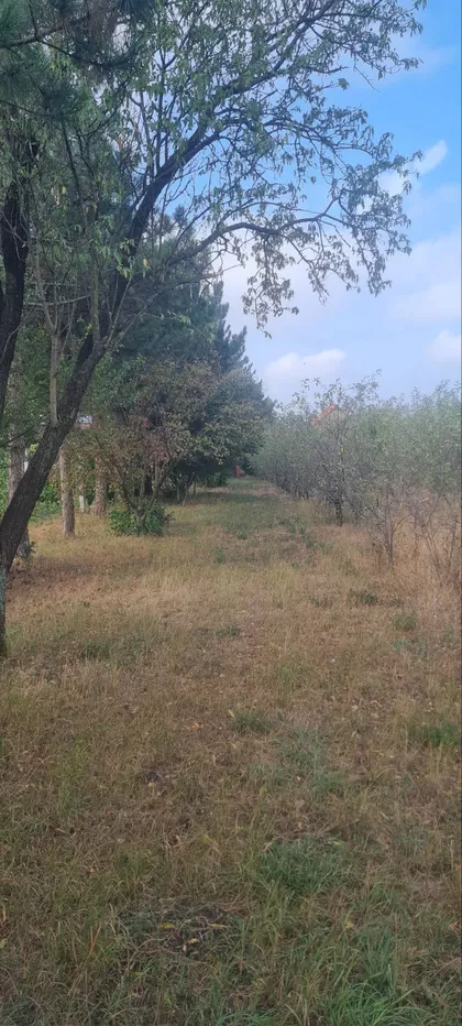 Jabučki Put | 4zida.rs