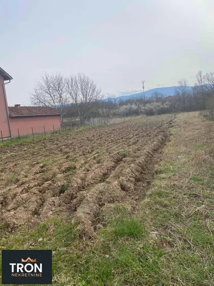 Nemanjina | 4zida.rs