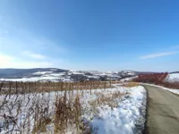Poljoprivredno zemljište | 4zida