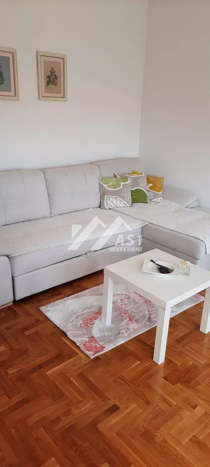 Vase Pelagića | 4zida.rs
