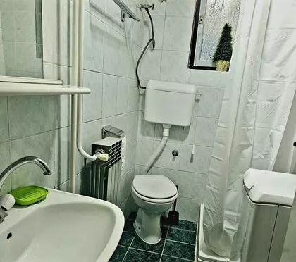 Darvinova pošta | 4zida.rs