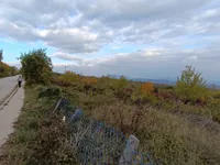Vinik, Pantelej, Gradske lokacije, Niš | 4zida.rs